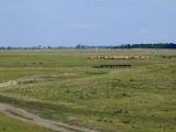 Bács-kiskun megyében Solt környékén 500 ha szántó,legelő ela